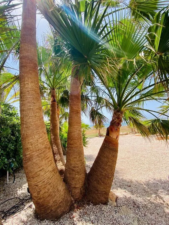 Whitekey Villa Cyprus 圣纳帕 塞浦路斯