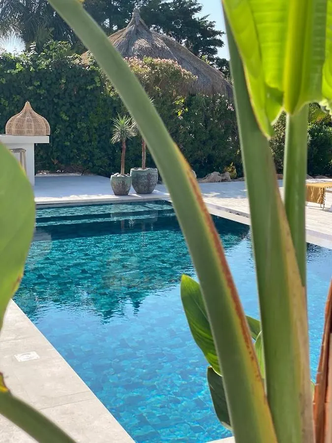 Whitekey Villa Cyprus Ayia Napa